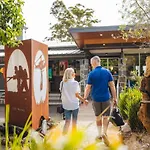 Binna Burra Rainforest Campsite